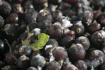 quick-frozen blackberry