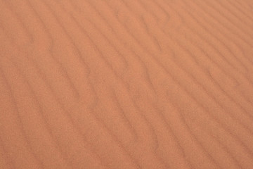 sable