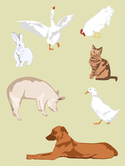 farm animals - collection for designers  1