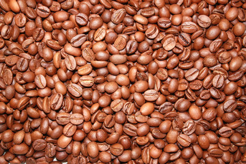 Grains of coffee.