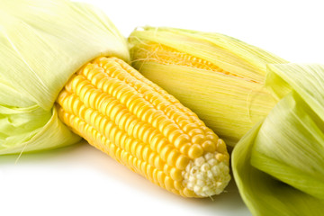 closeup of fresh maize corns isolated