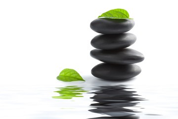 zen stones and leaves reflecting in water isolated