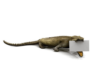 Fototapeta premium Crocodile with sign