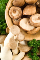 Assorted mushrooms