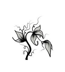 floral element -  vector