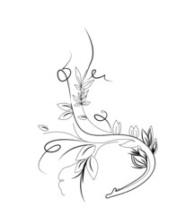 floral element -  vector