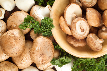 Assorted mushrooms