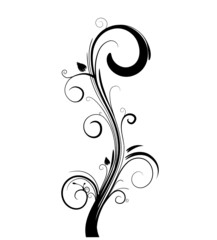 floral element -  vector