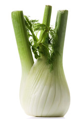 fennel