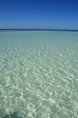 Paradis