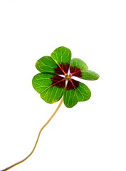 Für Dich... © Jürgen Acker