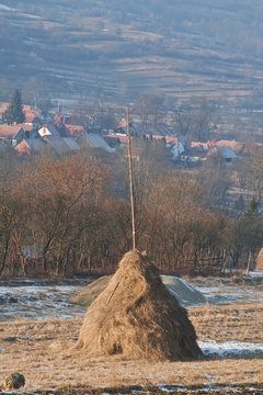 The village