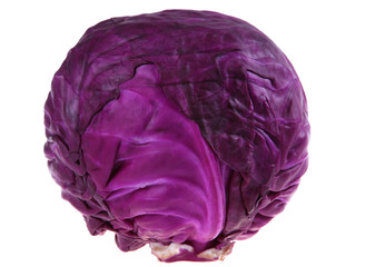 Obraz premium Violet cabbage