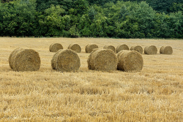 Straw bales