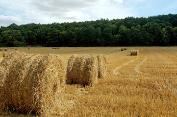Straw bales