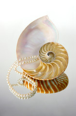 luxury sea