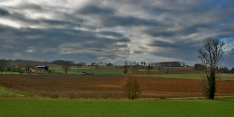 Obraz premium couleurs et nature