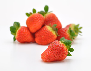 fragola solitaria