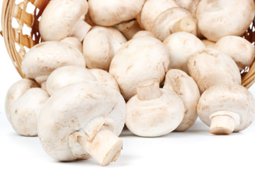 Fresh mushrooms in a basket