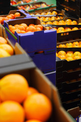 oranges