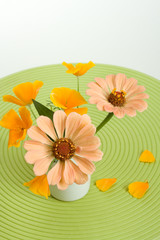 Orange spring flowers on green background