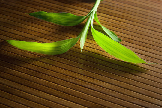 Green Bamboo On  Bamboo Mat