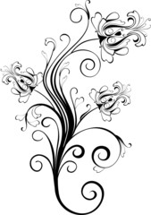 floral ornament - vector