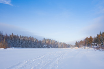 Winter landscape