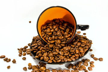 grain of coffee in a cup