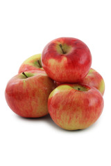 Fototapeta na wymiar Cortland Apples
