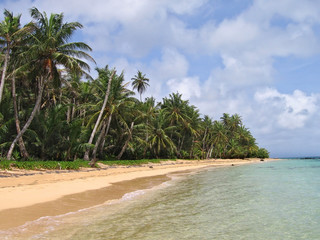 beautiful white sand tropical palm beach - 11743382