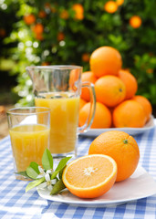 oranges - composition