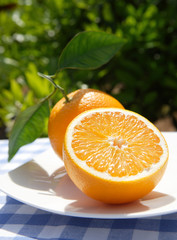 oranges - composition