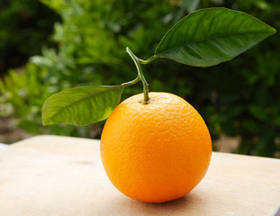 orange