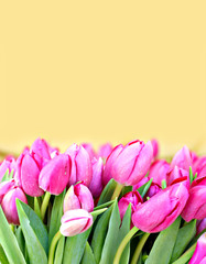 Strauß mit pinken Tulpen und Textfreiraum