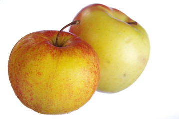 Yellow Apples