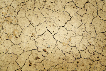 Dry cracked dirt