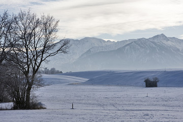 schnee in hundham bei miesbach