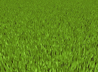 Rendered grass texture