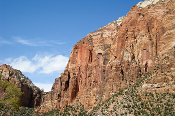 Fototapeta premium Zion Canyon Wall