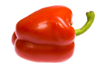 Paprika isolated on white background