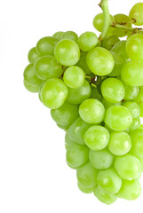 green grapes closeup