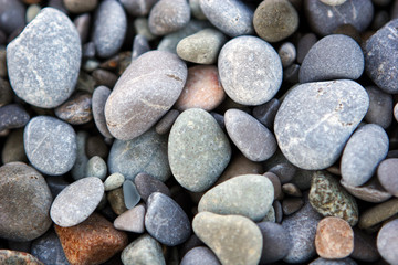 Fototapeta na wymiar Beach pebble