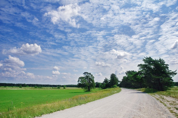 Road among a field © Igor Sokolov