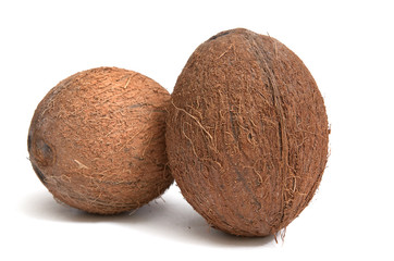 Coconuts on a white background.
