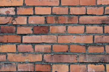 Obraz premium red wall
