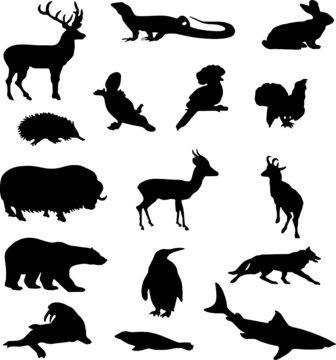 silhouettes wild animals Illustrations  2