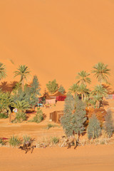 Oasis in Sahara desert