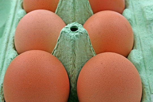 close up box of eggs