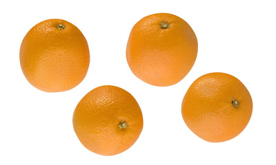 Oranges isolated on white background